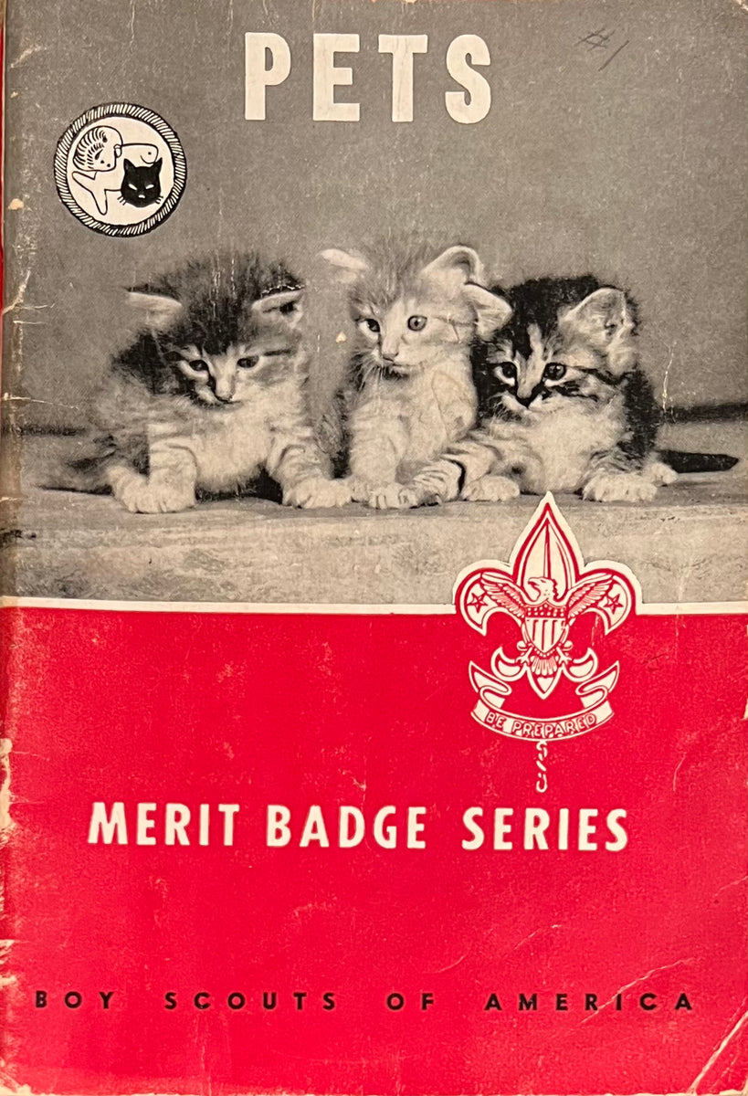 Pets Merit Badge Series Pillow Cat Books pets-merit-badge-series-pillow-cat-books