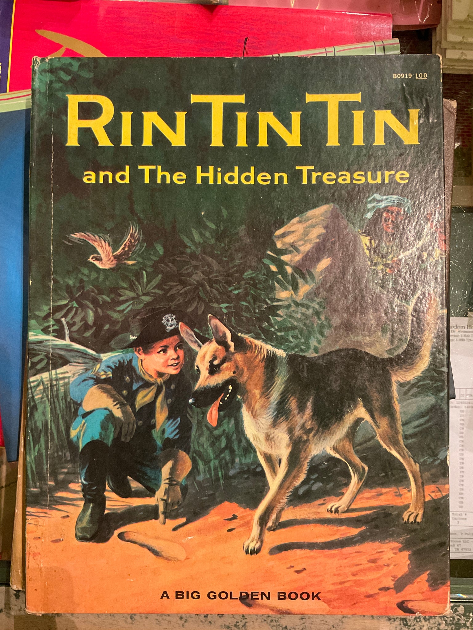 Rin Tin Tin and the Hidden Treasure