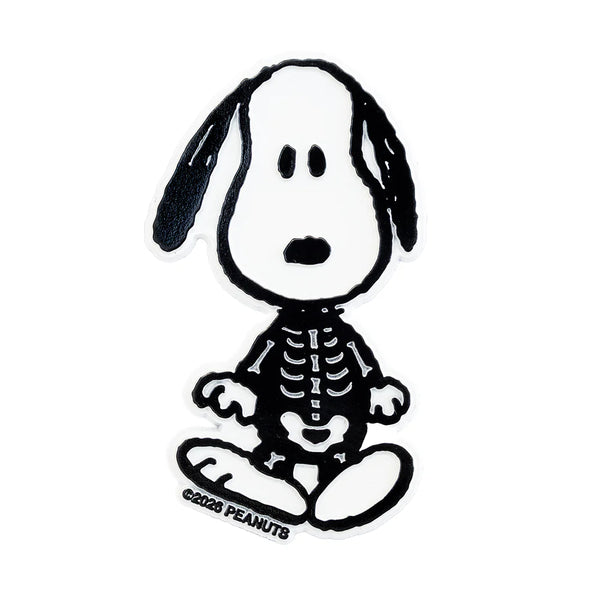 Peanuts Magnets