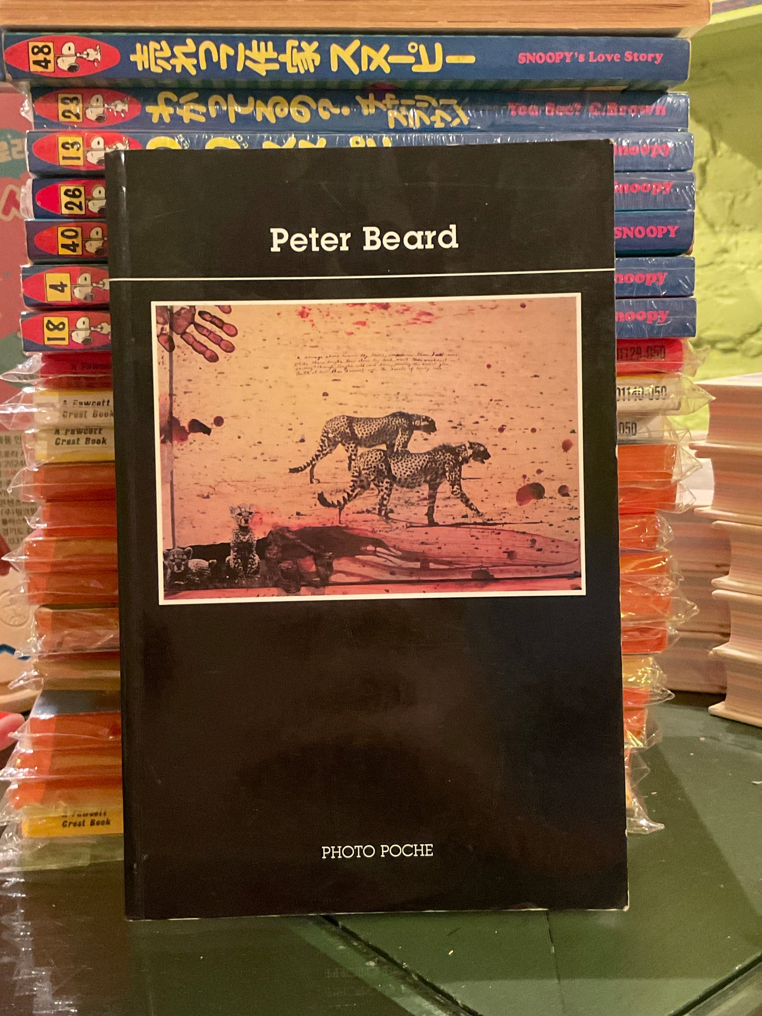 Peter Beard