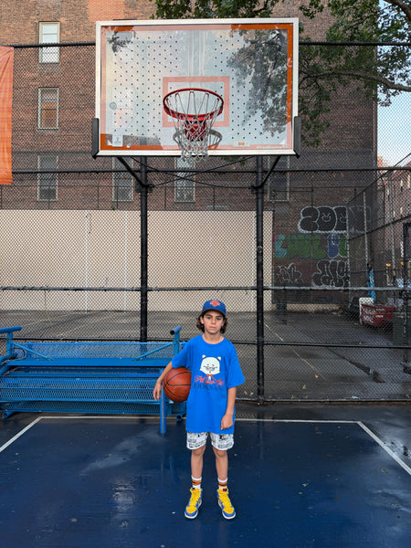Pillow-Cat for NY Knicks Victory Tee