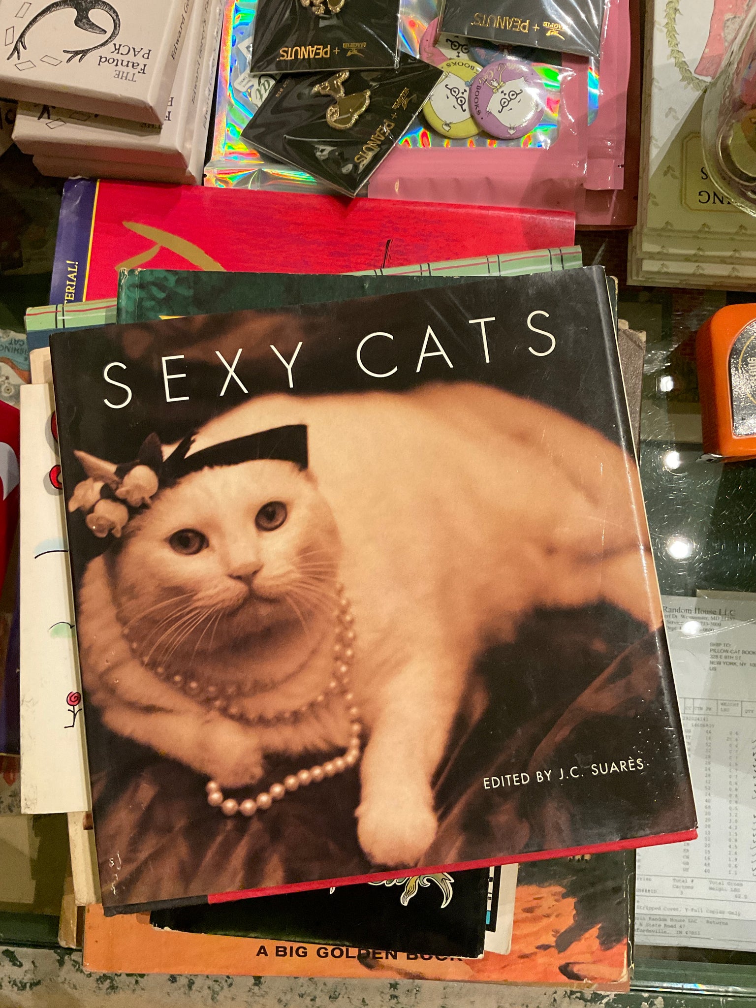 Sexy Cats