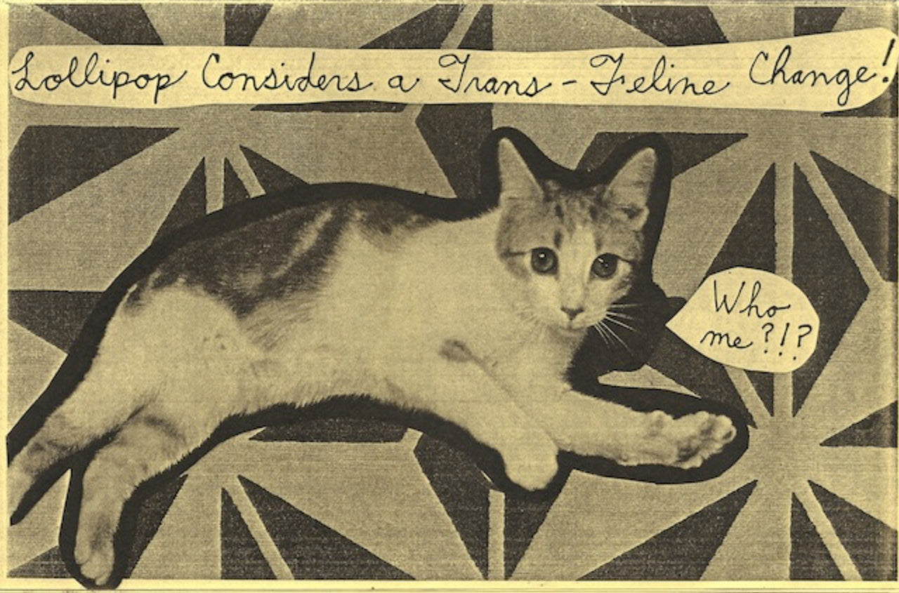 Homocats zines