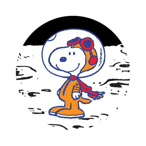 Peanuts Stickers