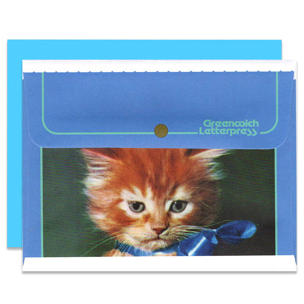 Dog & Cat Envelope set