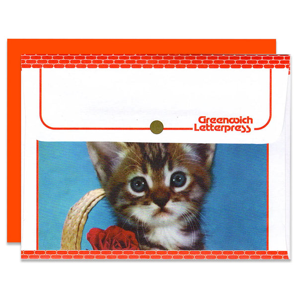 Dog & Cat Envelope set