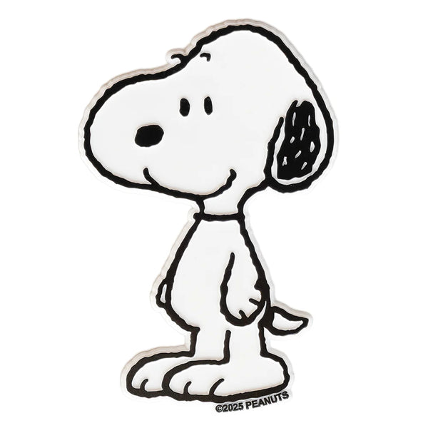 Peanuts Magnets