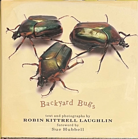 Backyard Bugs, Robin Kittrell Laughlin