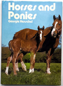 horses and. ponies Georgie Henschel