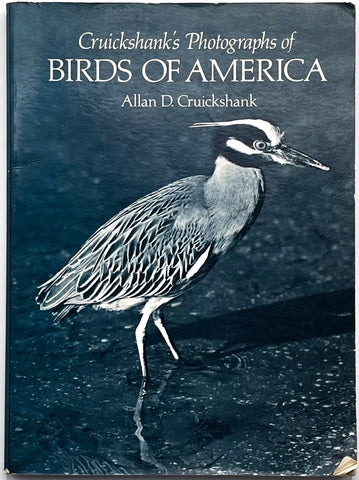 birds of America