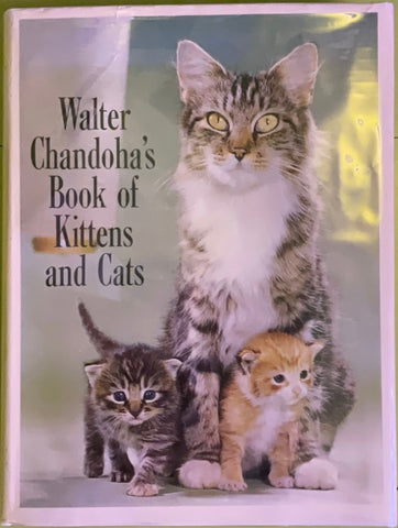 Walter Chandoha’s Book of Kittens and Cats