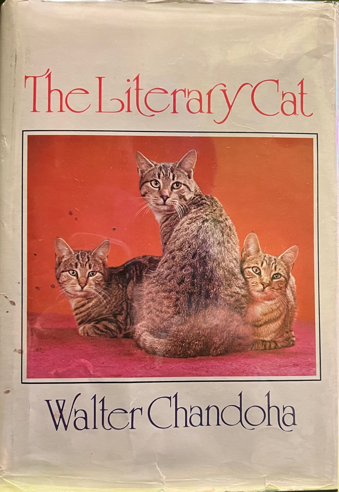 The Literary Cat, Walter Chandoha