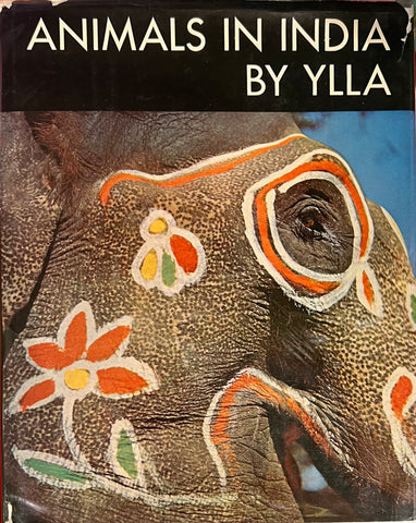 Animals in India, Ylla