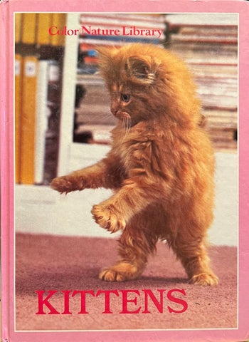 Kittens, David Gibbon