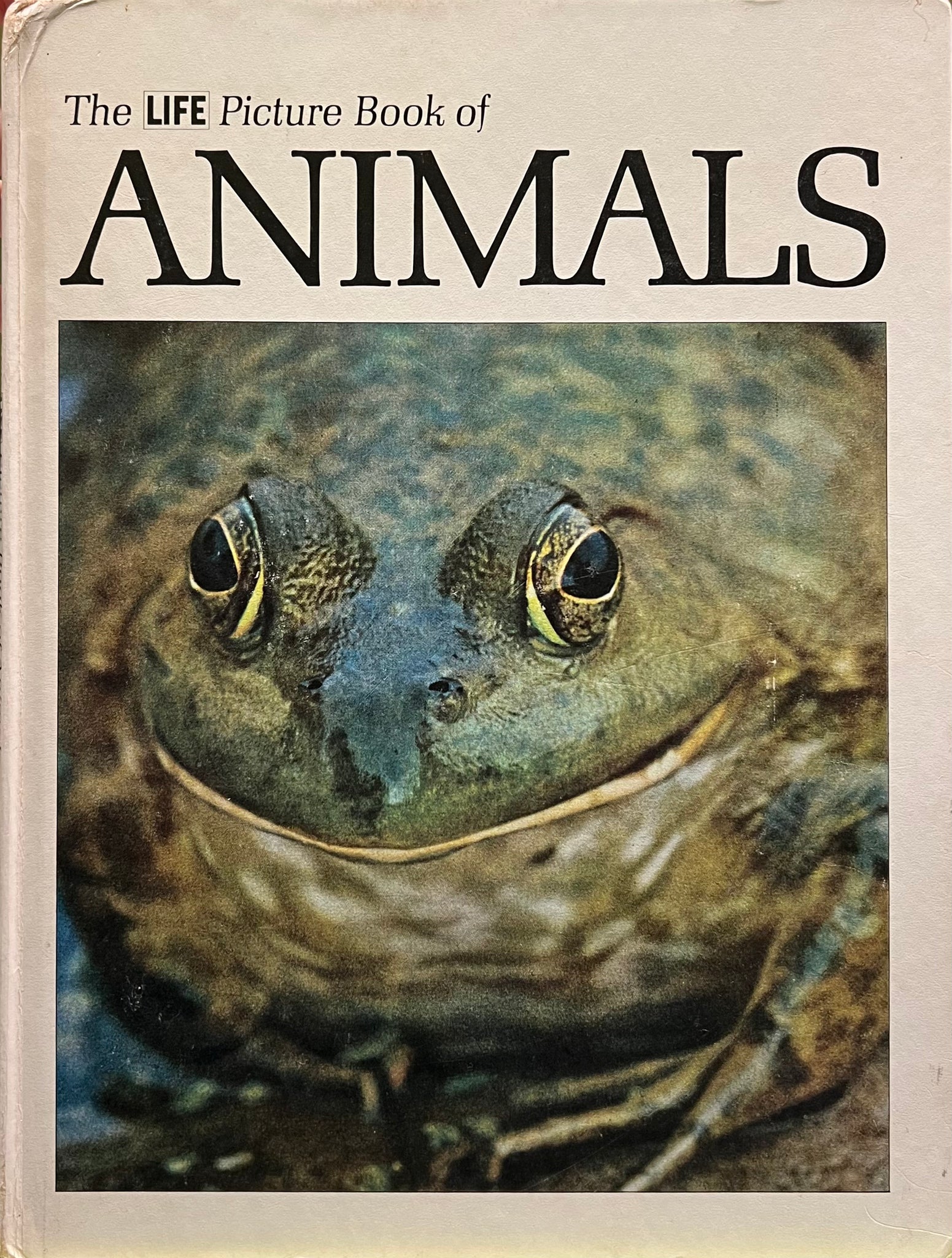 The Life Picture Book of Animals