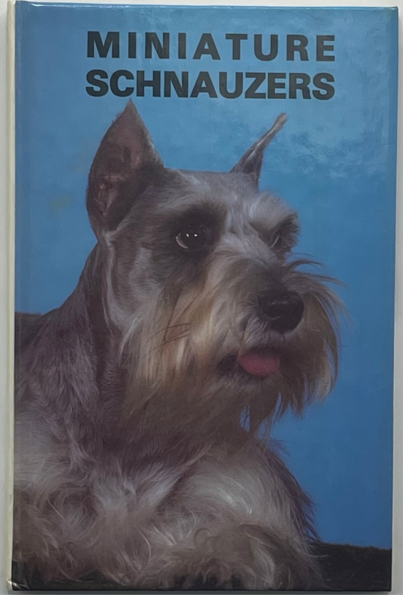 Miniature Schnauzers