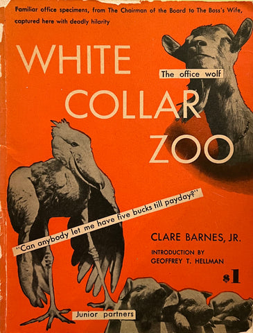 White Collar Zoo, Clare Barnes, Jr.