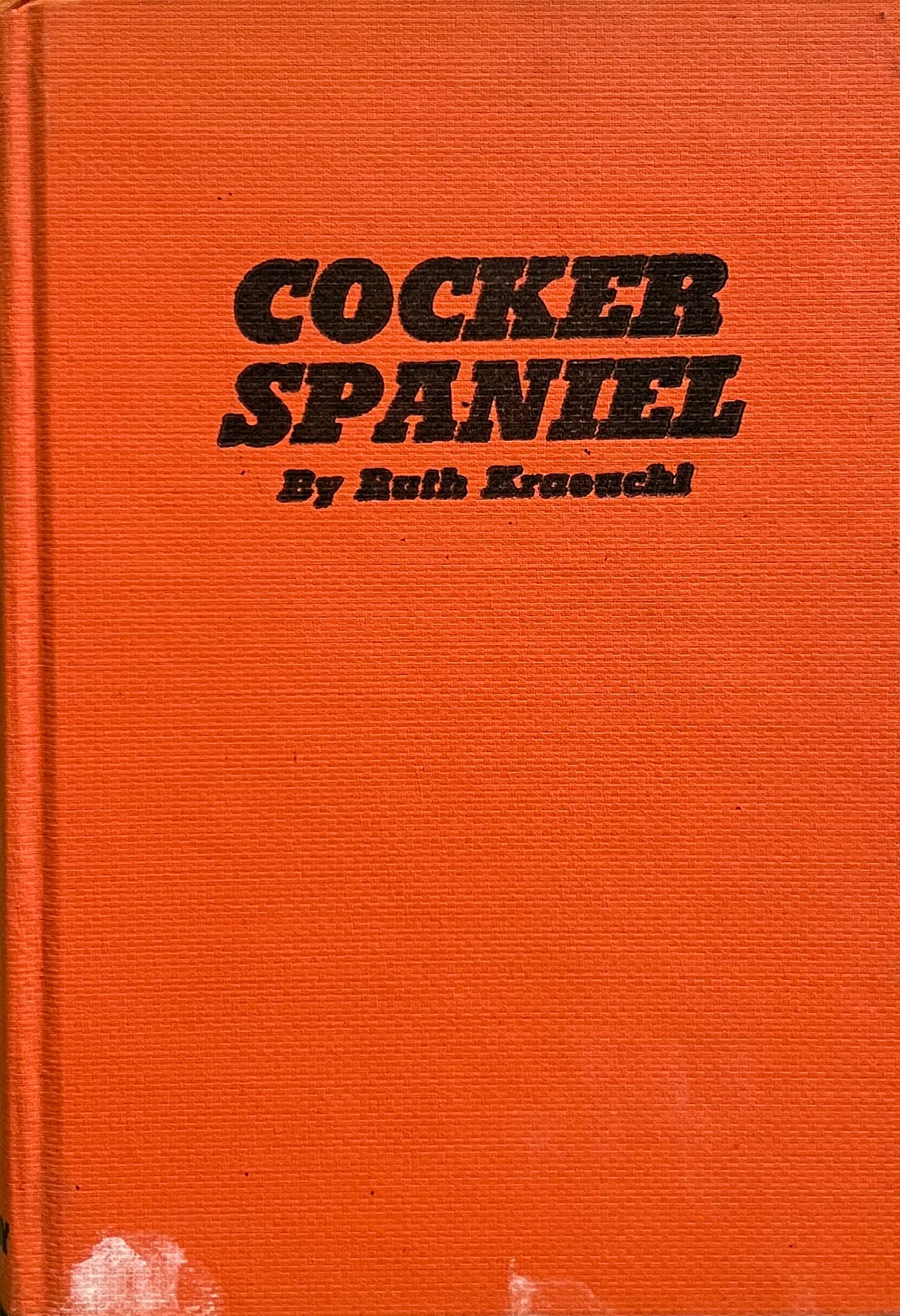 Cocker Spaniel, Ruth Kraeuchi