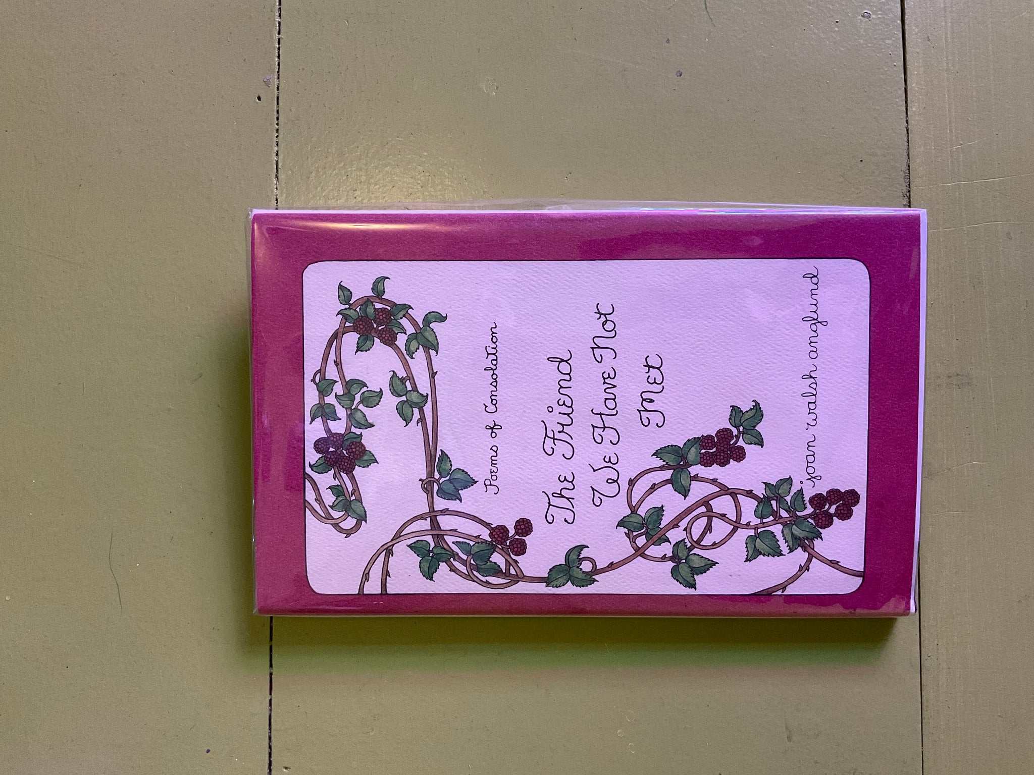 The Friend We Have Not Met, Joan Walsh Anglund