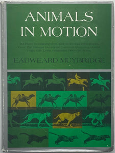 Animals In Motion, Eadweard Muybridge