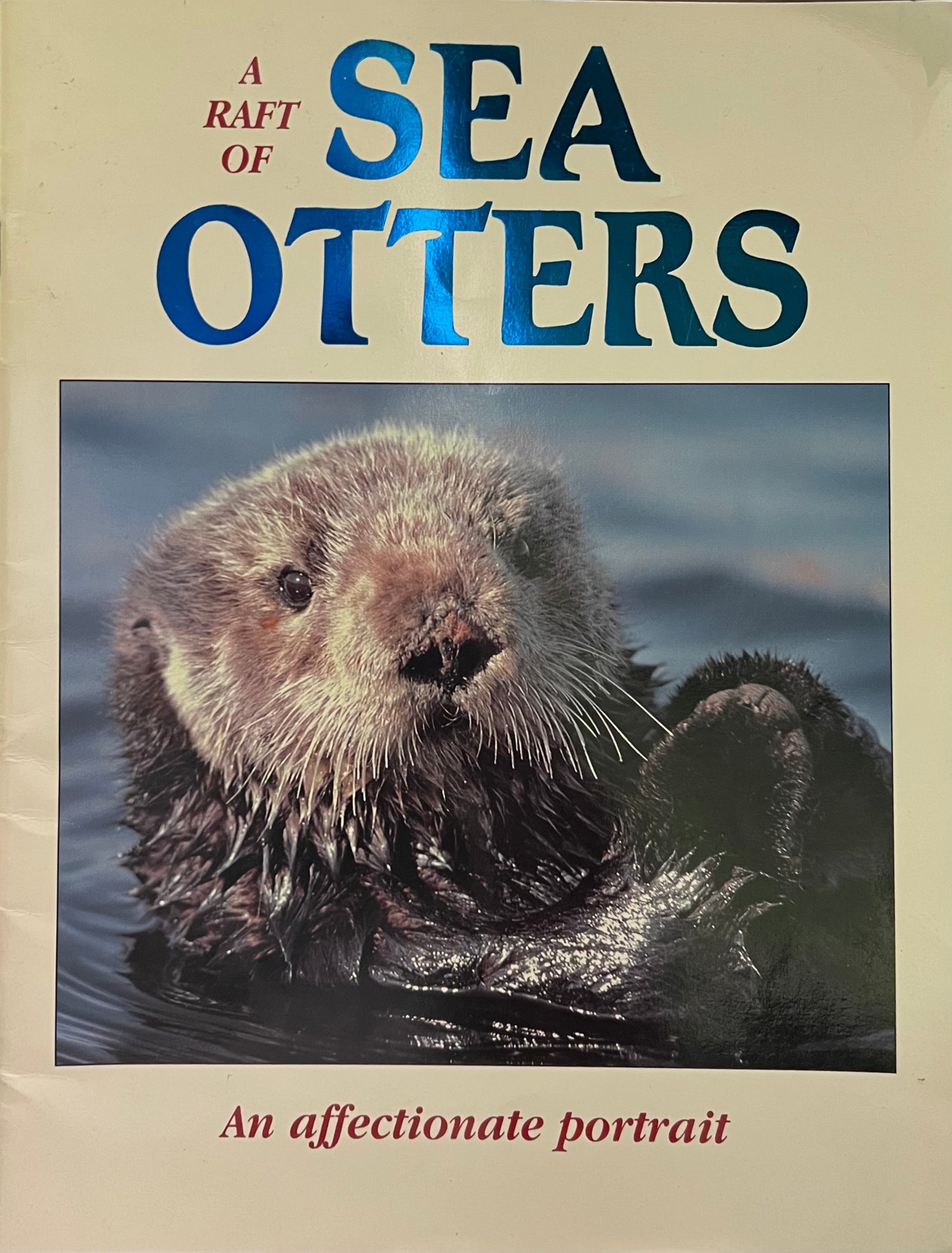 A Raft of Sea Otters, An Affectionate Portrait, Vicki Leon