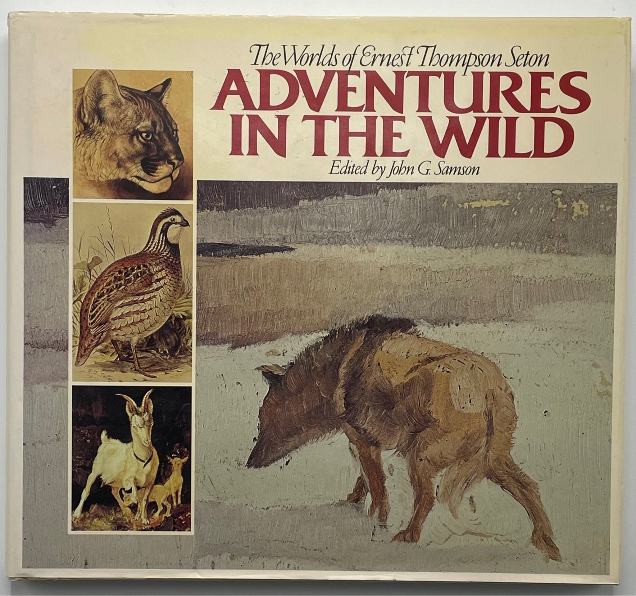 Adventures In The Wild, The Worlds of Ernest Thompson Seton