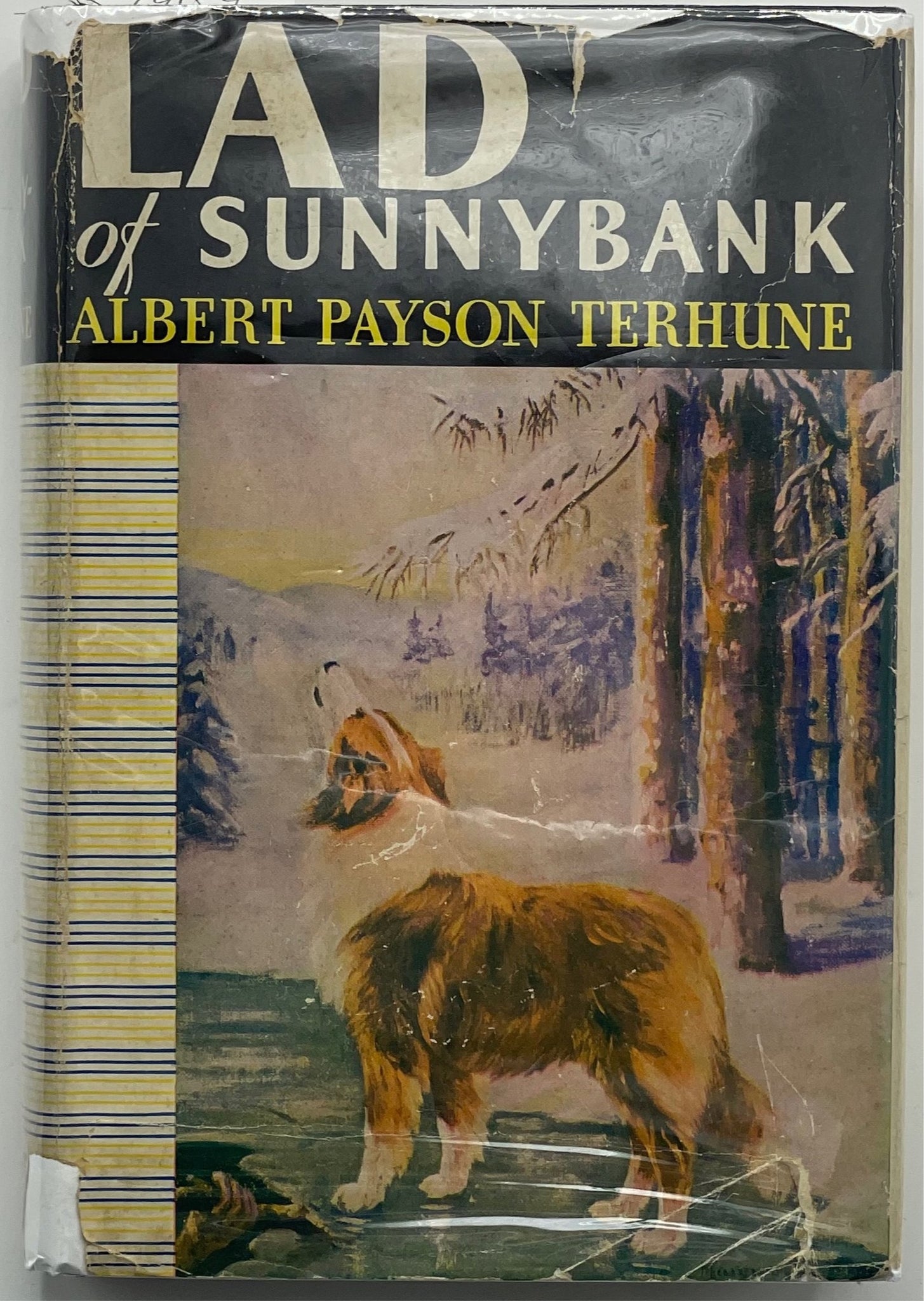 Lad of Sunnybank, Albert Payson Terhune