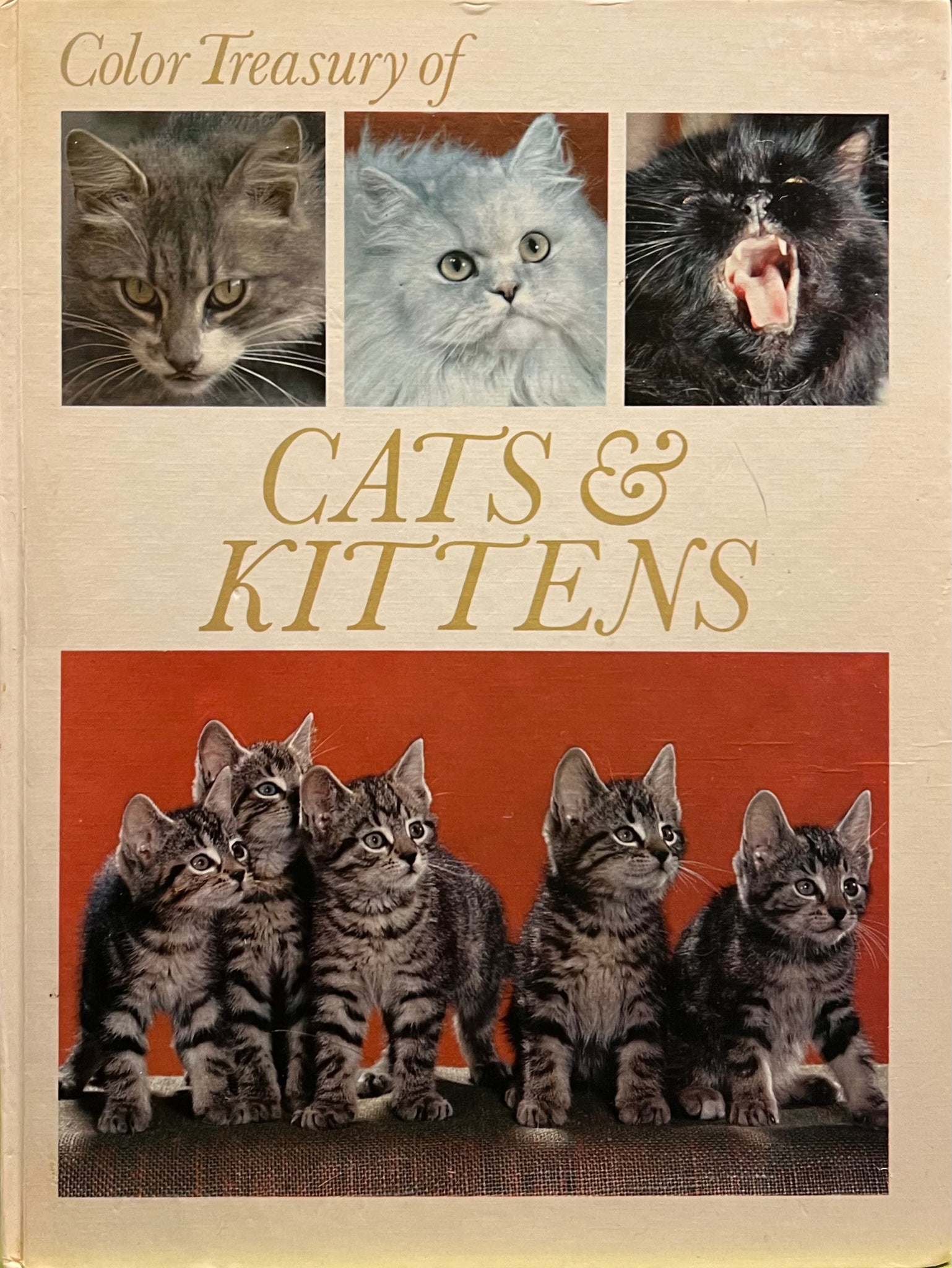 Color Treasury of Cats and Kittens