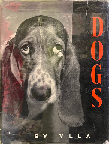 Dogs, Ylla