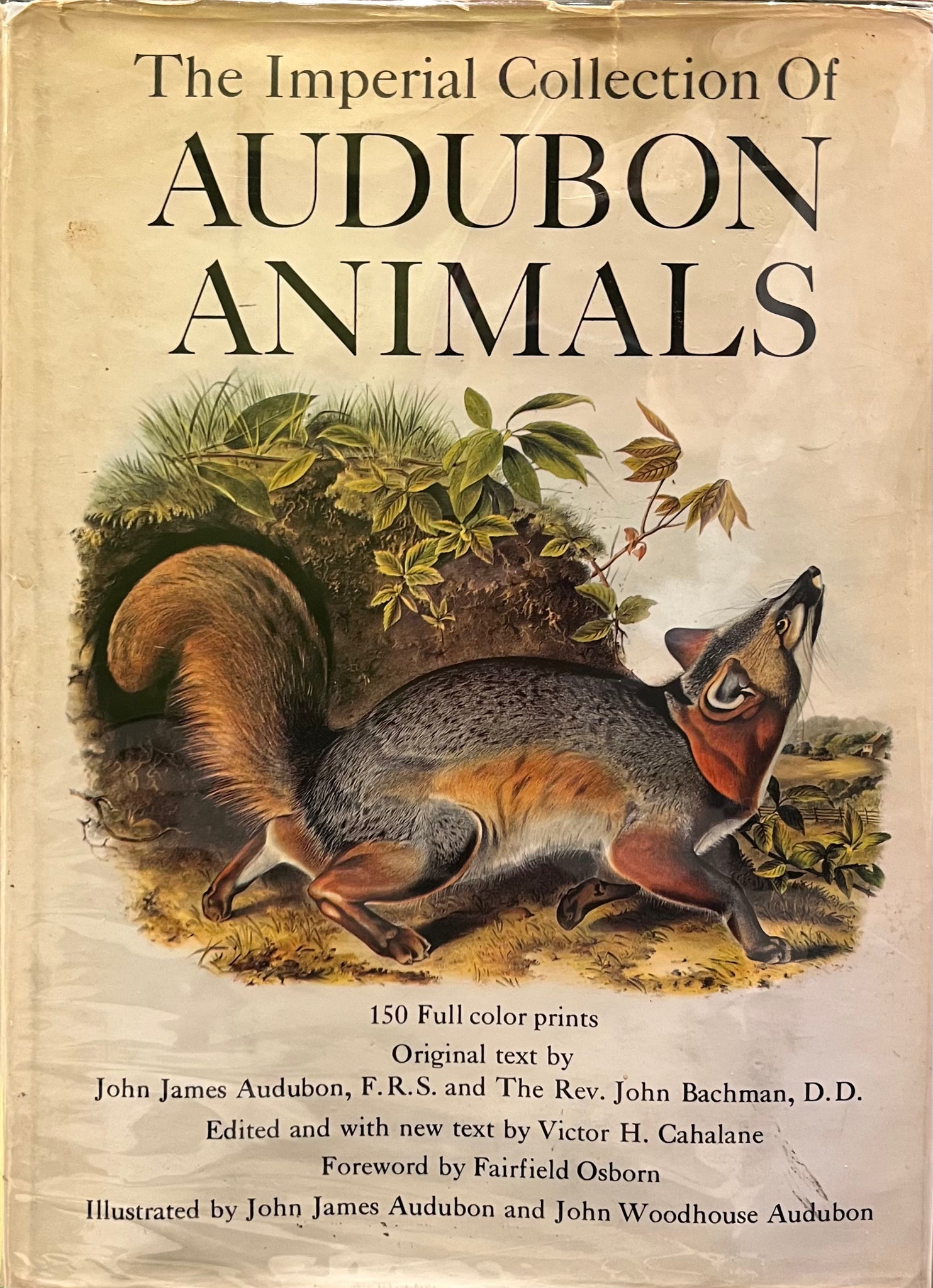The Imperial Collection of Audubon Animals