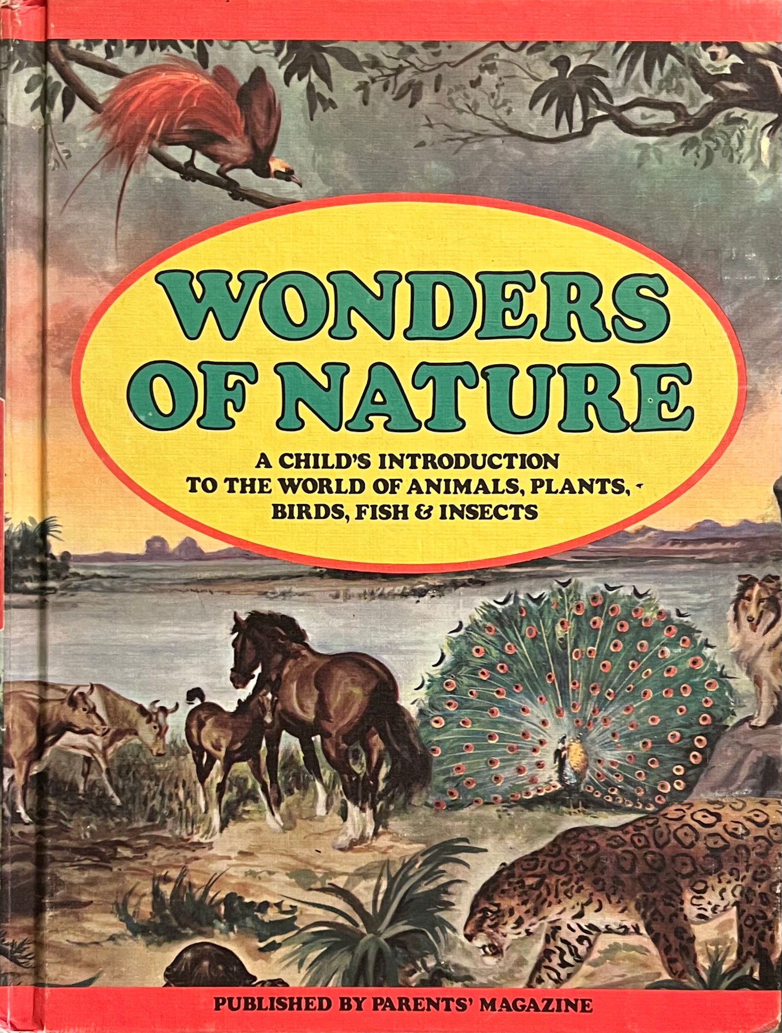 Wonders of Nature: A Child’s Introduction to the World of Animals, Plants, Birds, Fish and Insects