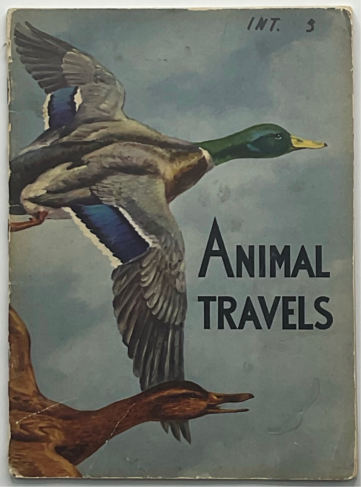 animal travels