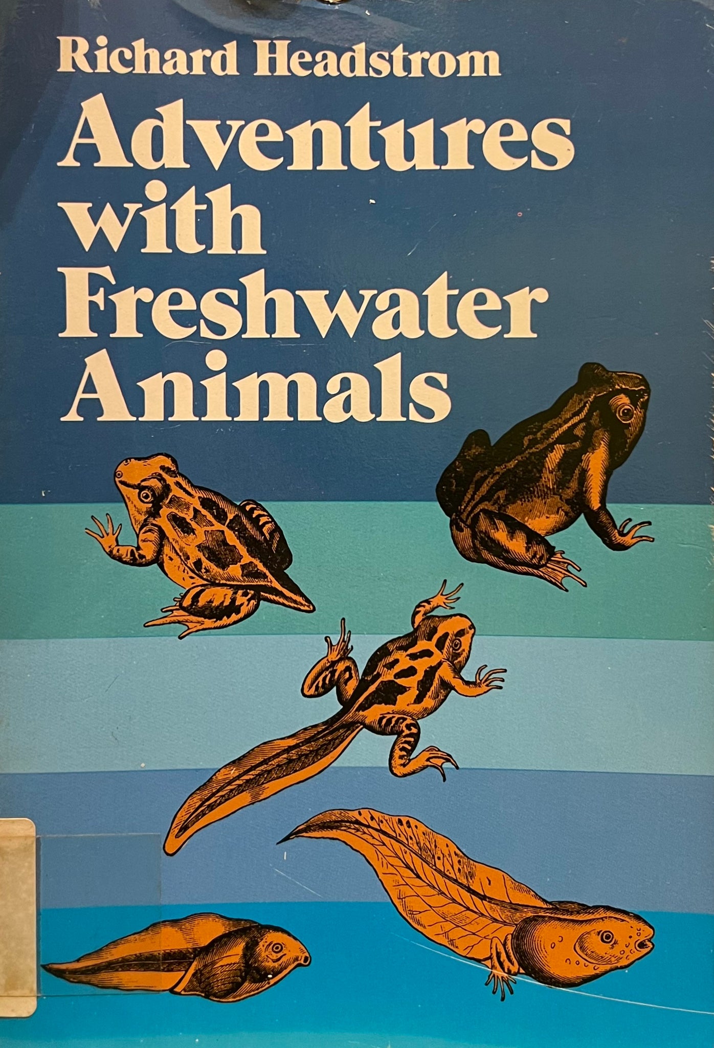 Adventures with Freshwater Animals, Richard Headstrom