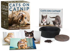 Cats on Catnip: A Grow-Your-Own Catnip Kit