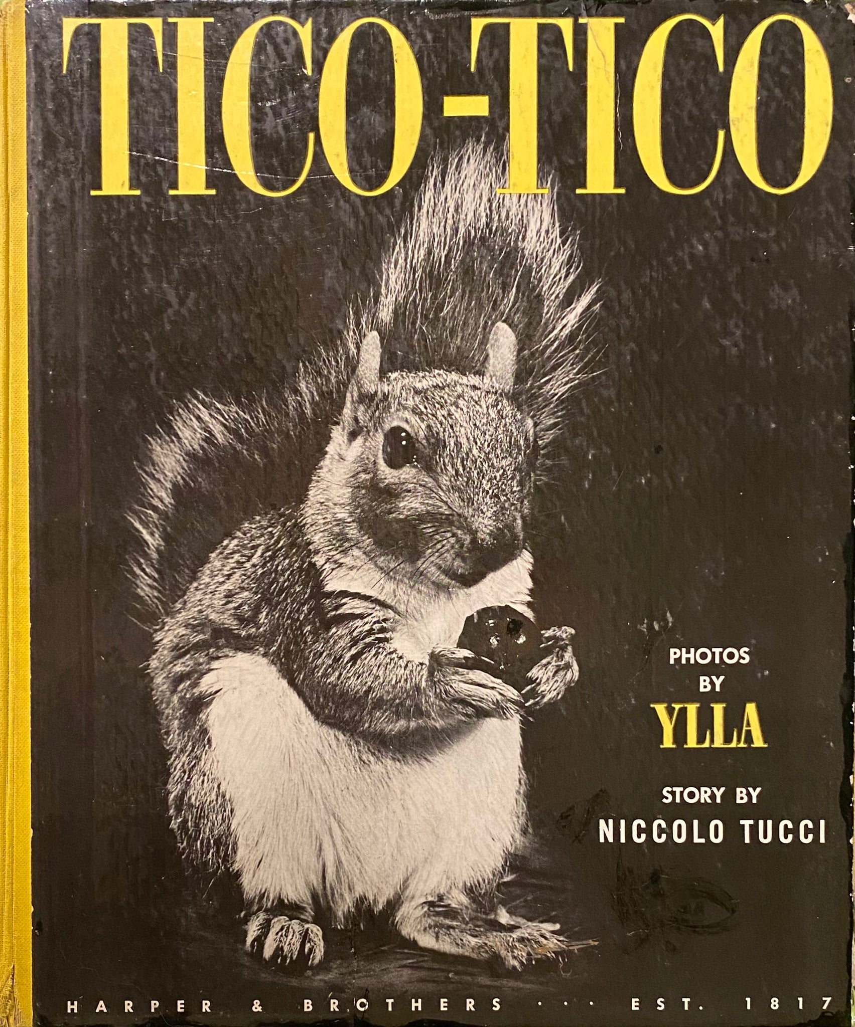 Tico-Tico, Ylla