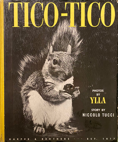 Tico-Tico, Ylla