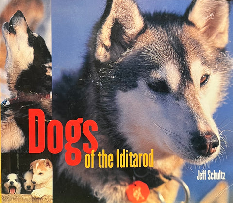 Dogs of the Iditarod, Jeff Schultz