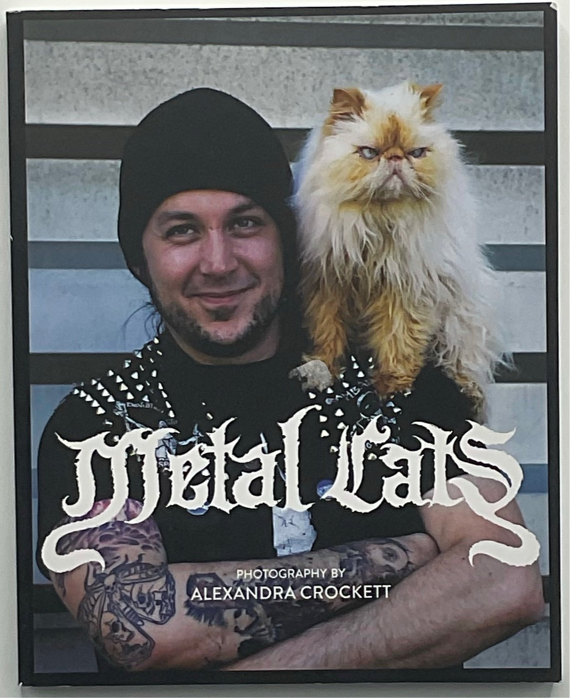 Metal Cats, Alexandra Crockett