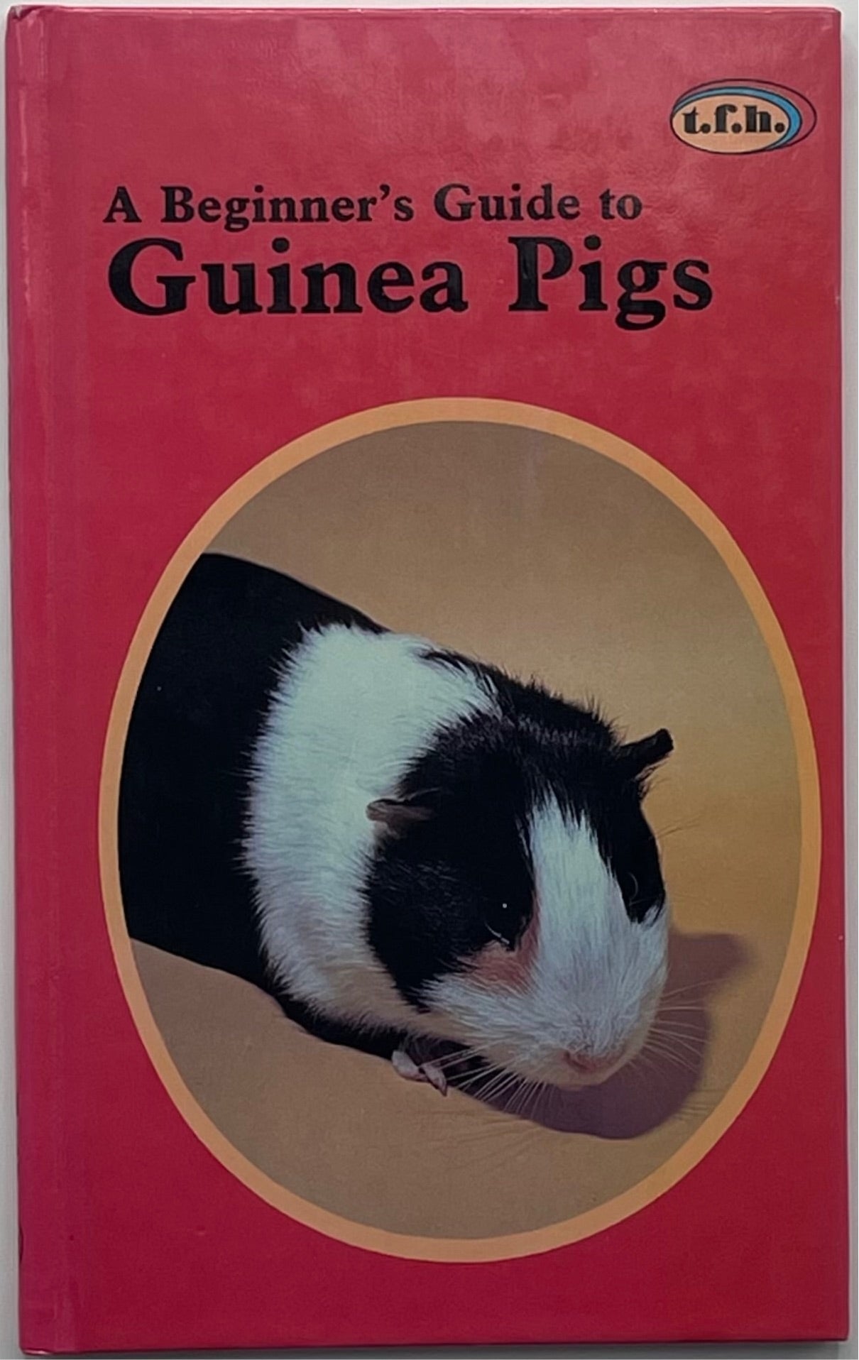 A Beginner’s Guide to Guinea Pigs, Tom Willkie