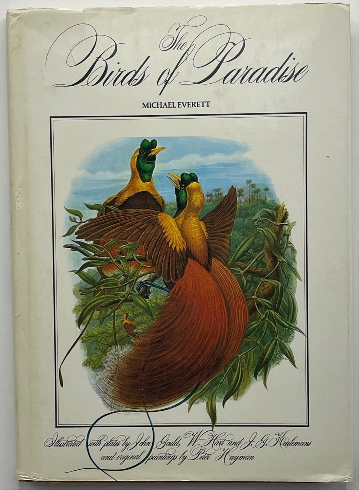 The Birds of Paradise, Michael Everett