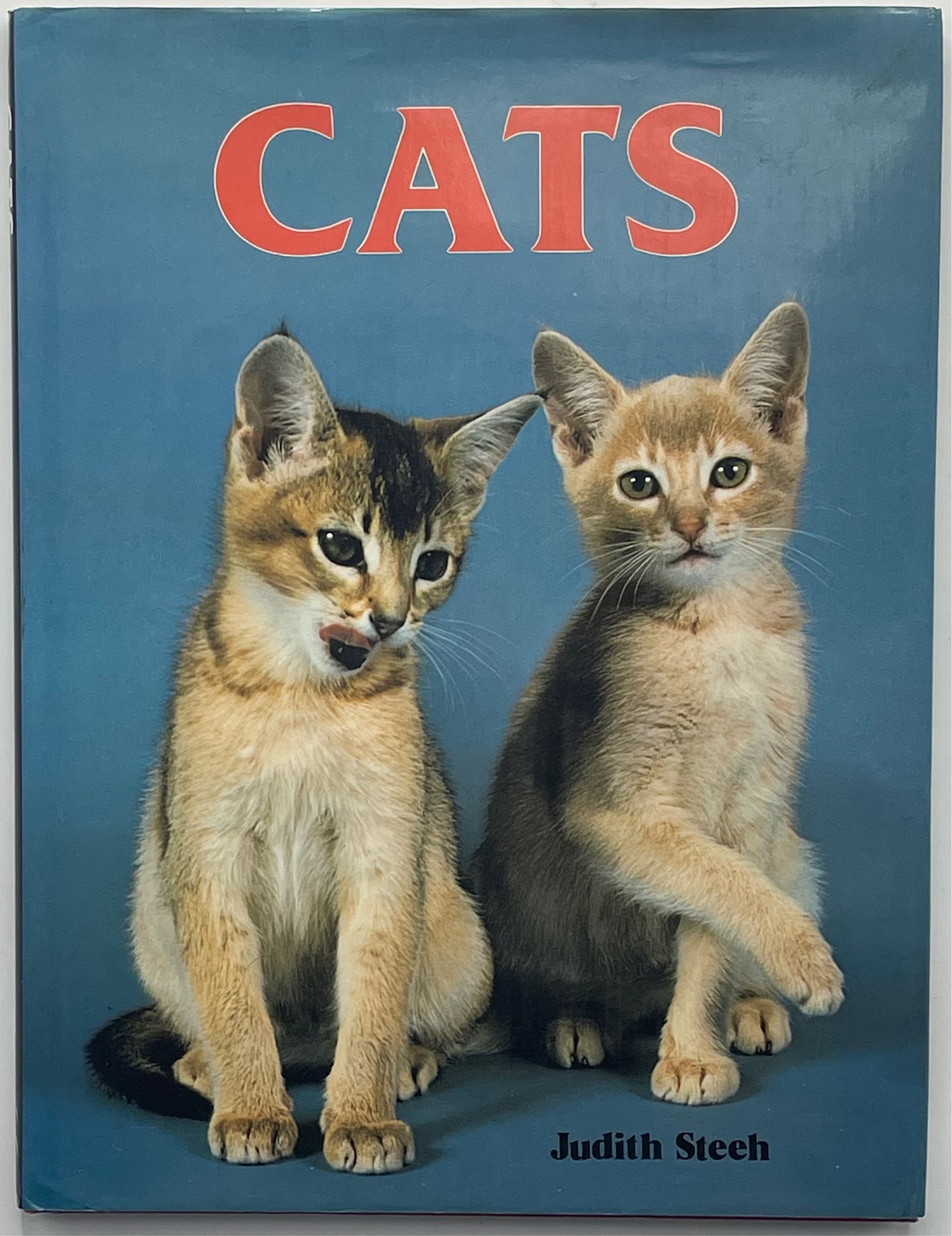 cats judith steeh