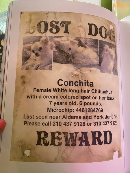 Still Missing, Gio Castranova