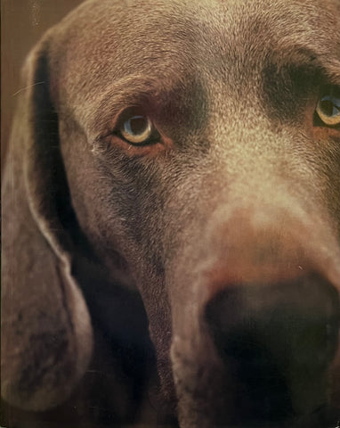 Polaroids, William Wegman