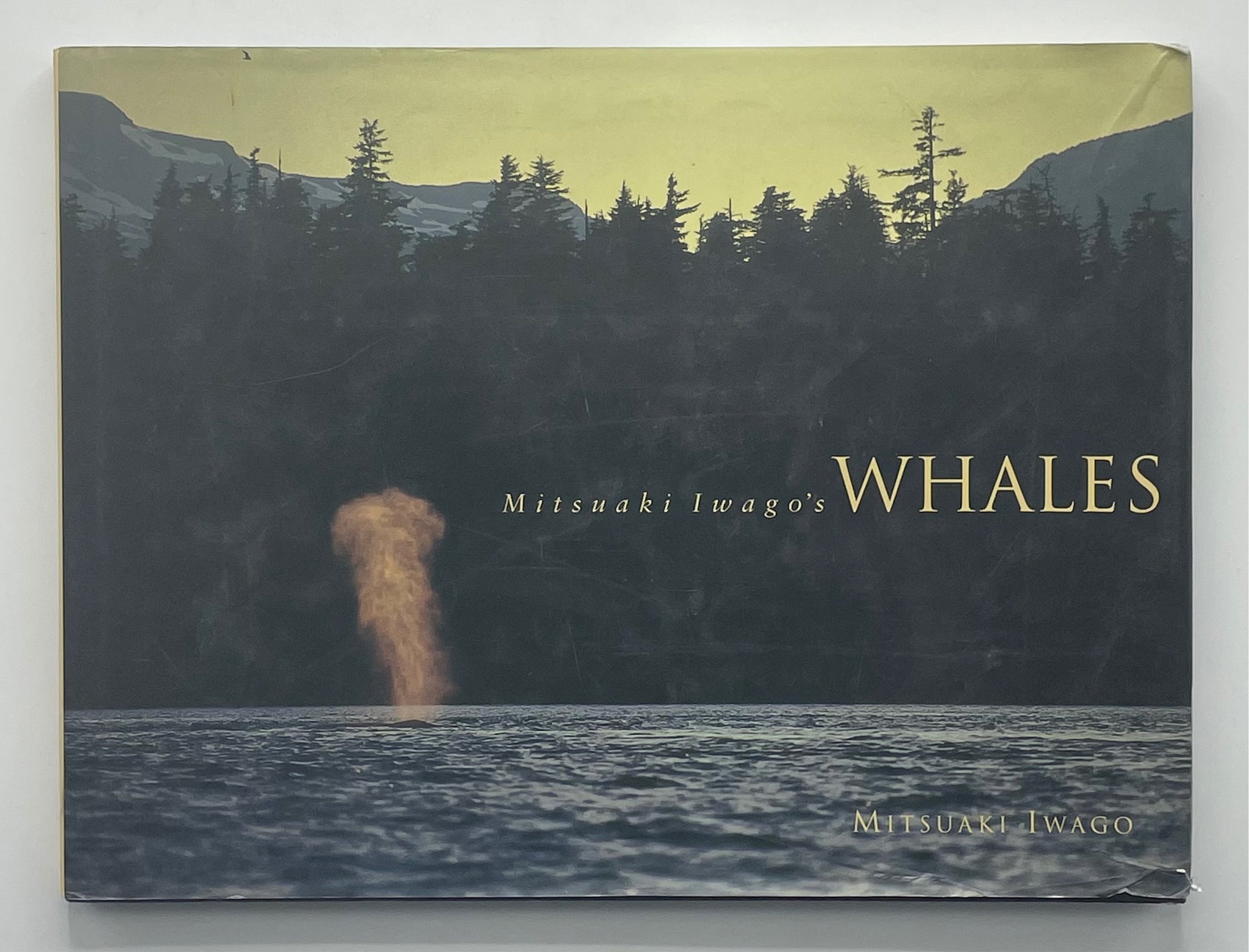 Whales, Mitsuaki Iwago