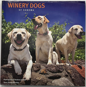 winery dogs sonoma