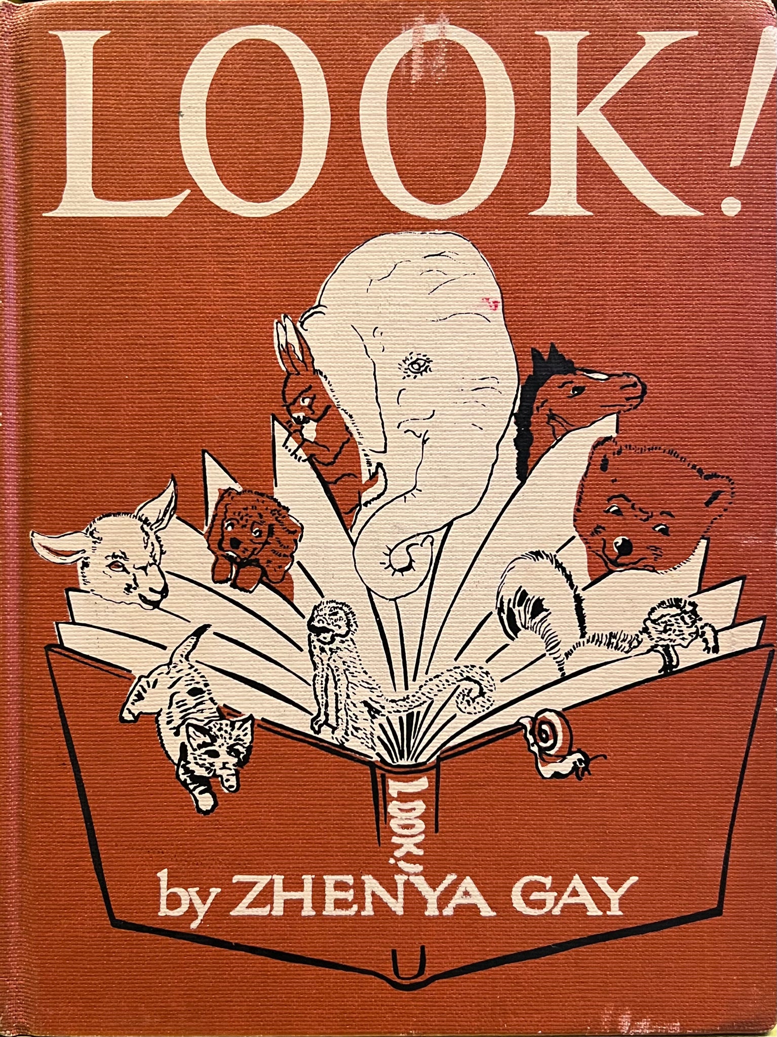 Look!, Zhenya Gay