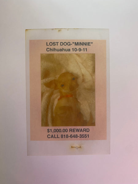 Still Missing, Gio Castranova