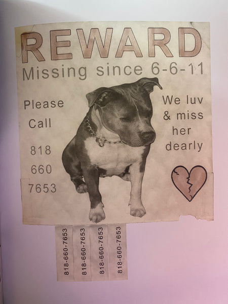 Still Missing, Gio Castranova