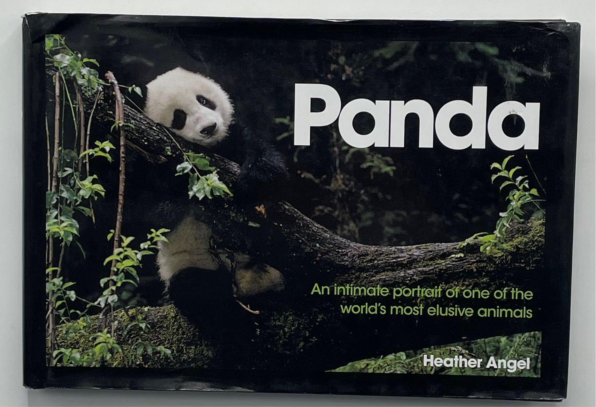 Panda, Heather Angel