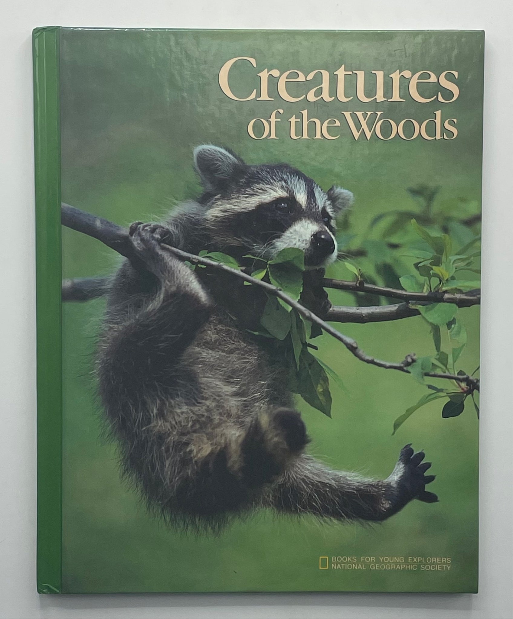 Creatures of the Woods